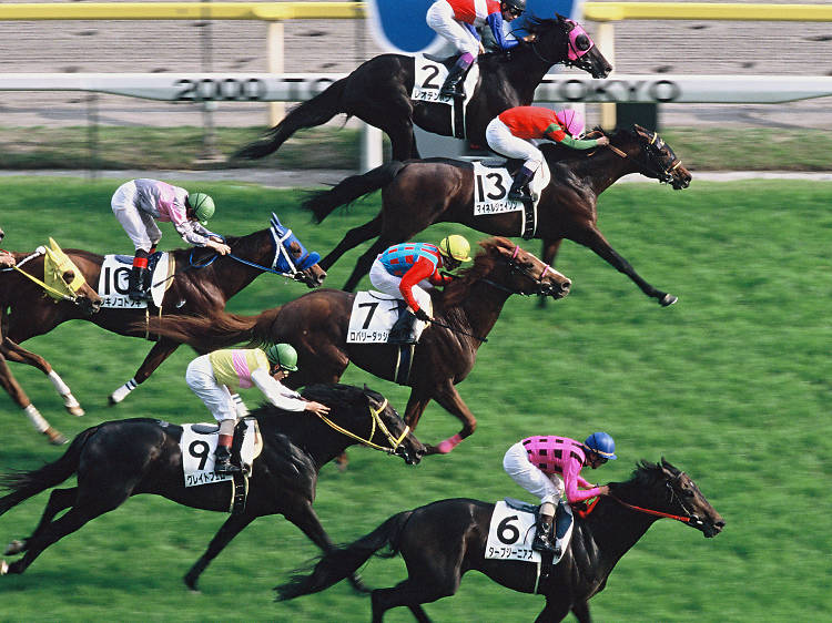 魅力的な日本の競馬賭博の世界